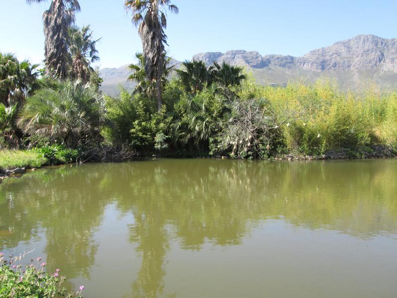 Commercial Property for Sale in Paarl Western Cape